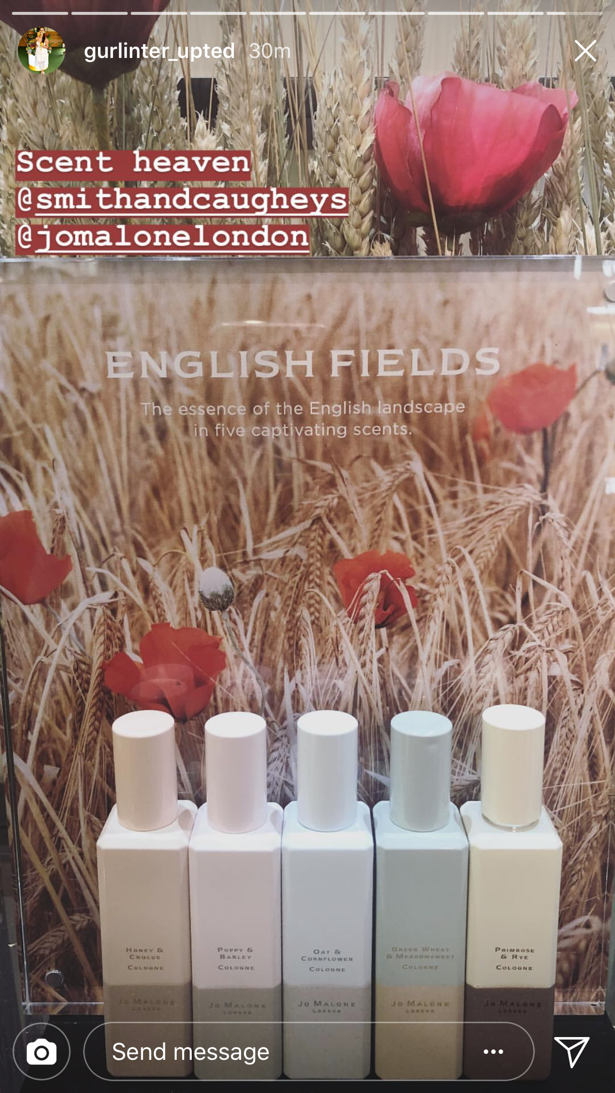 gurlinter_upted 7.PNG