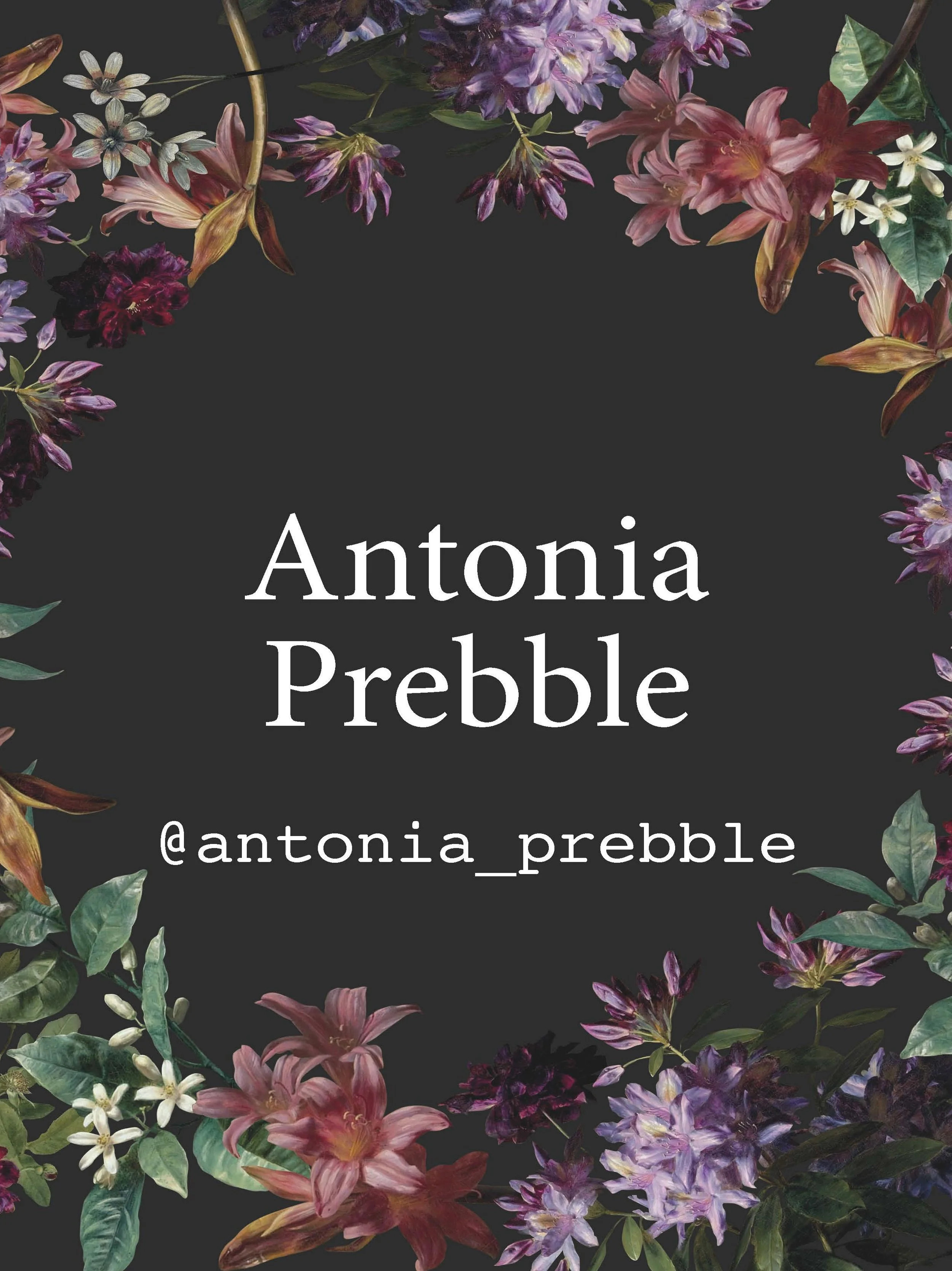  @antonia_prebble 8,806 followers 