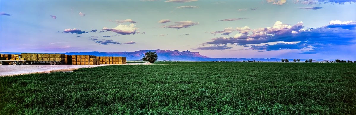 alfalfa farm dell city texas.JPG
