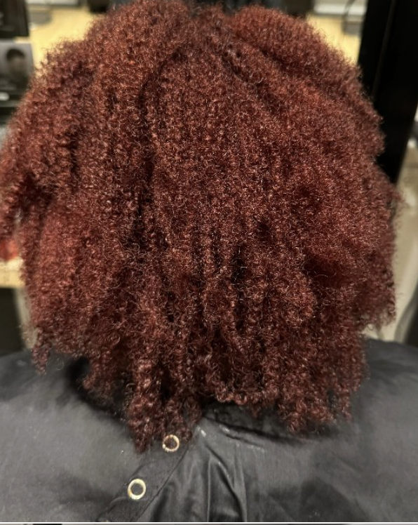 Back of a person's head showing curly, reddish-brown hair with a textured, natural appearance.