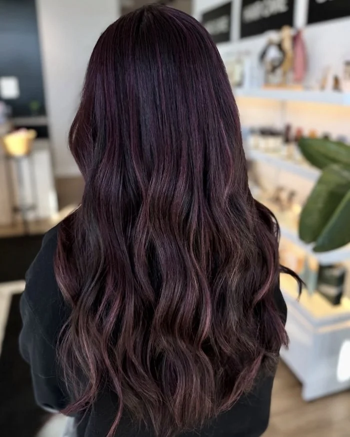 A woman with long wavy hair dyed in shades of dark purple and burgundy, standing in a salon with shelves and plants in the background.