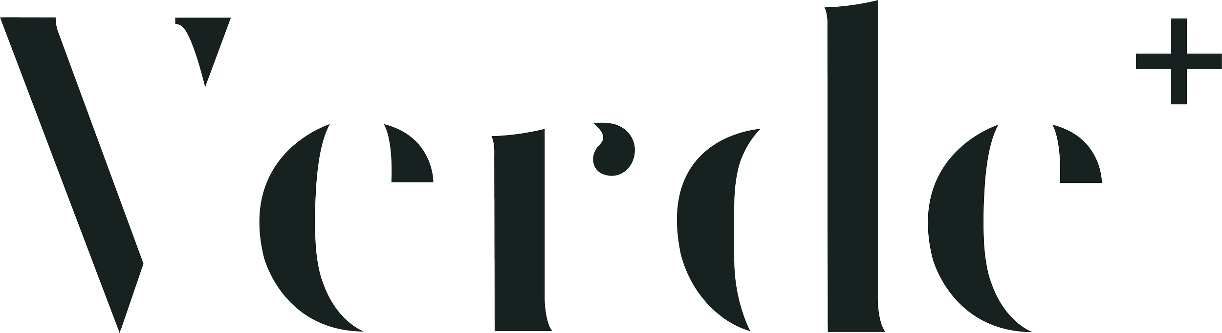 The word Verde Plus written in black stylized font with sharp edges on a transparent background.