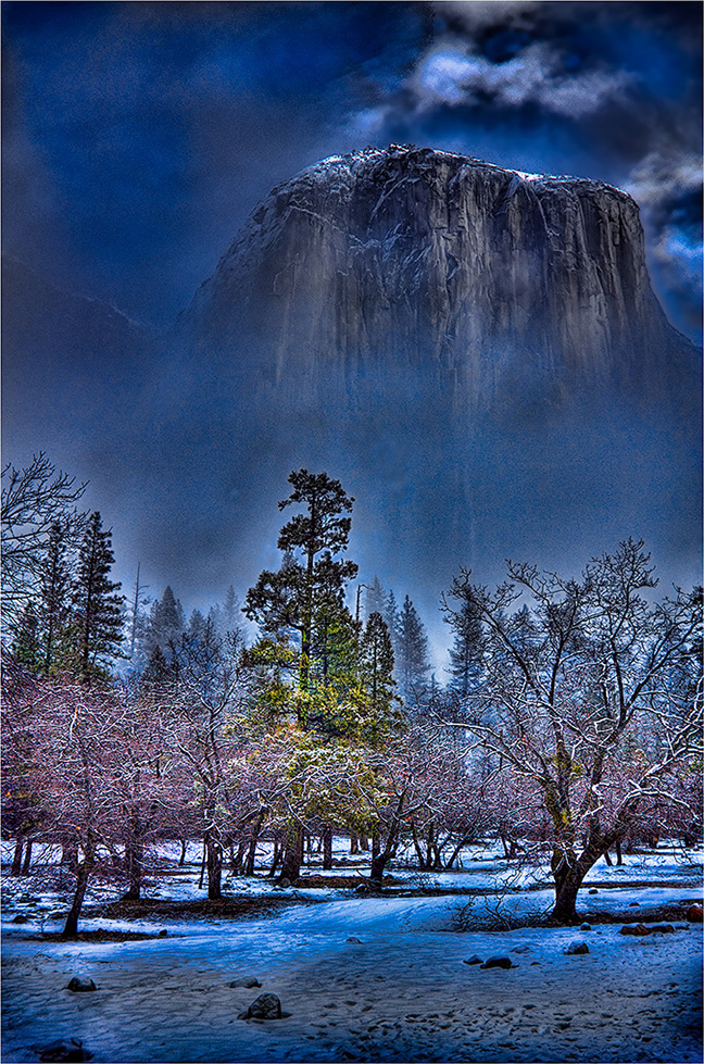 After the Rain, Yosemite