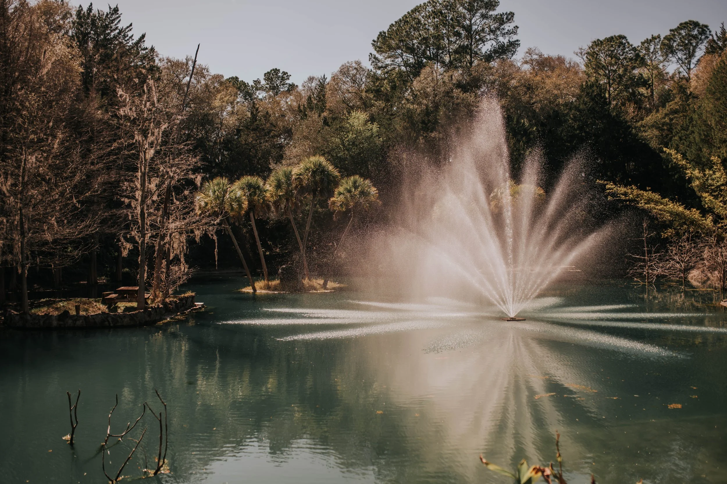 Cedar Lakes Woods &amp; Gardens