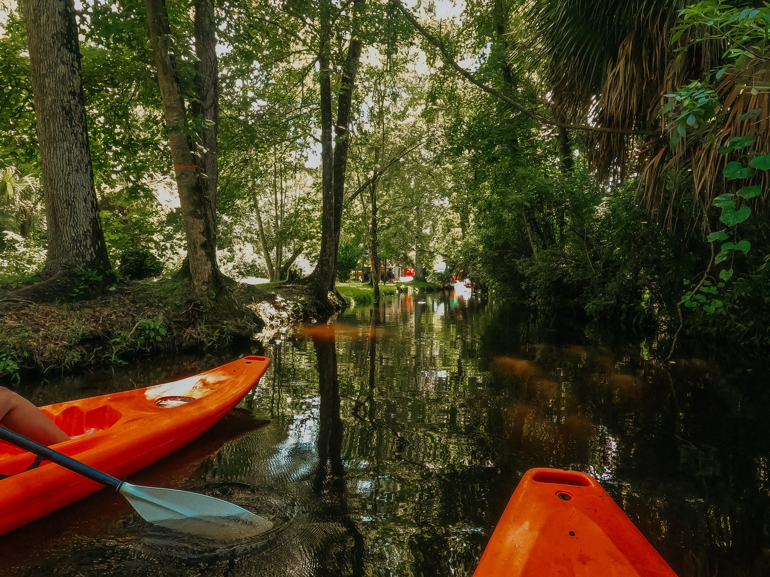 Exploring Rock Springs Run