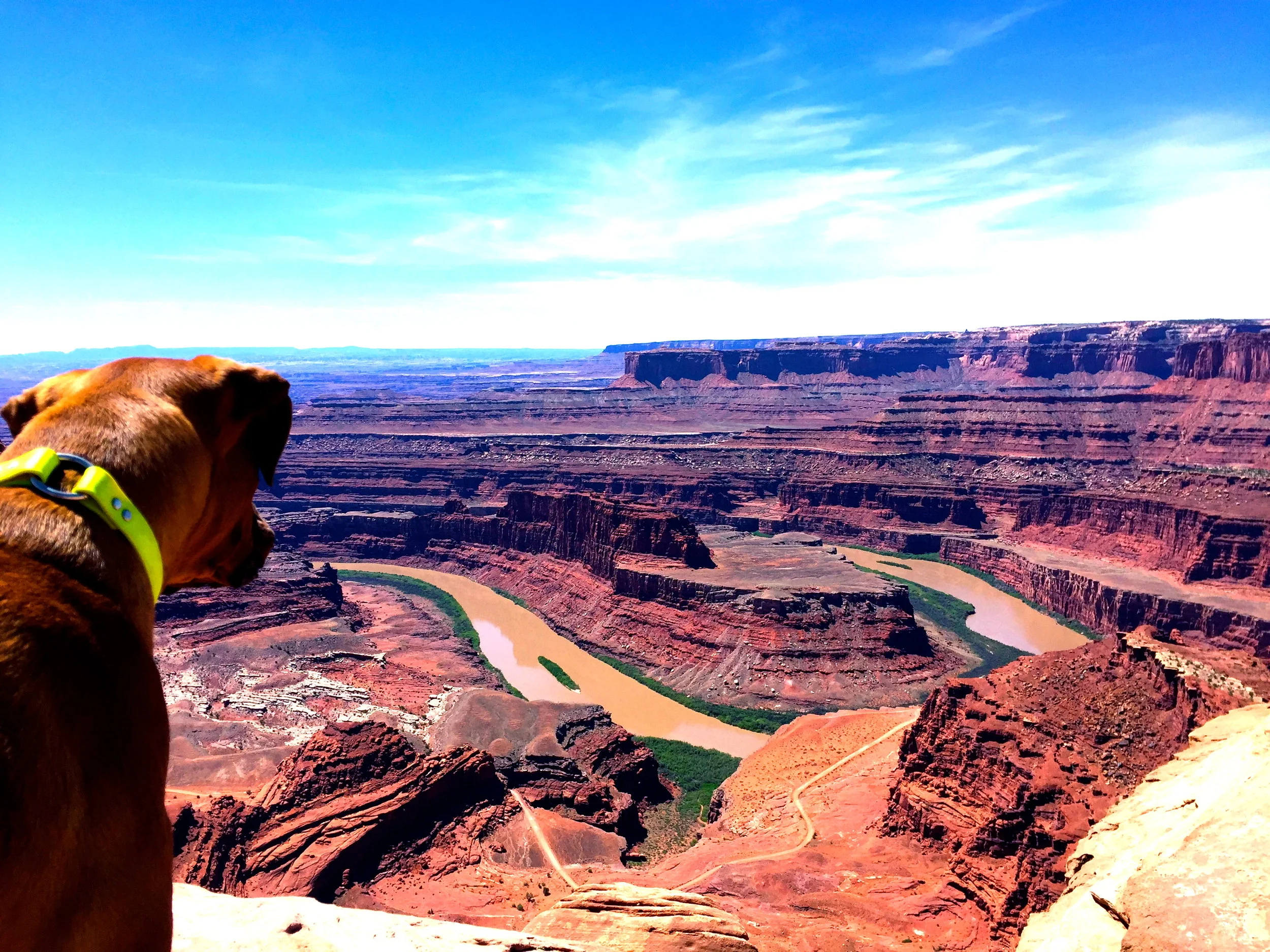 Dog eye view of the Colorado River 