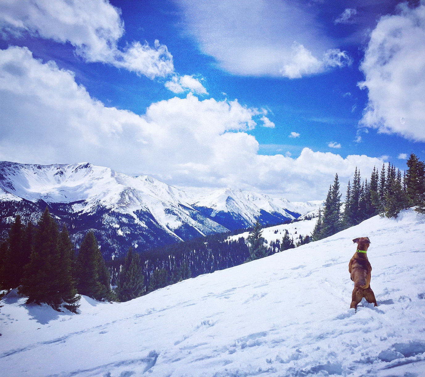Backcountry beauty at Berthoud Pass