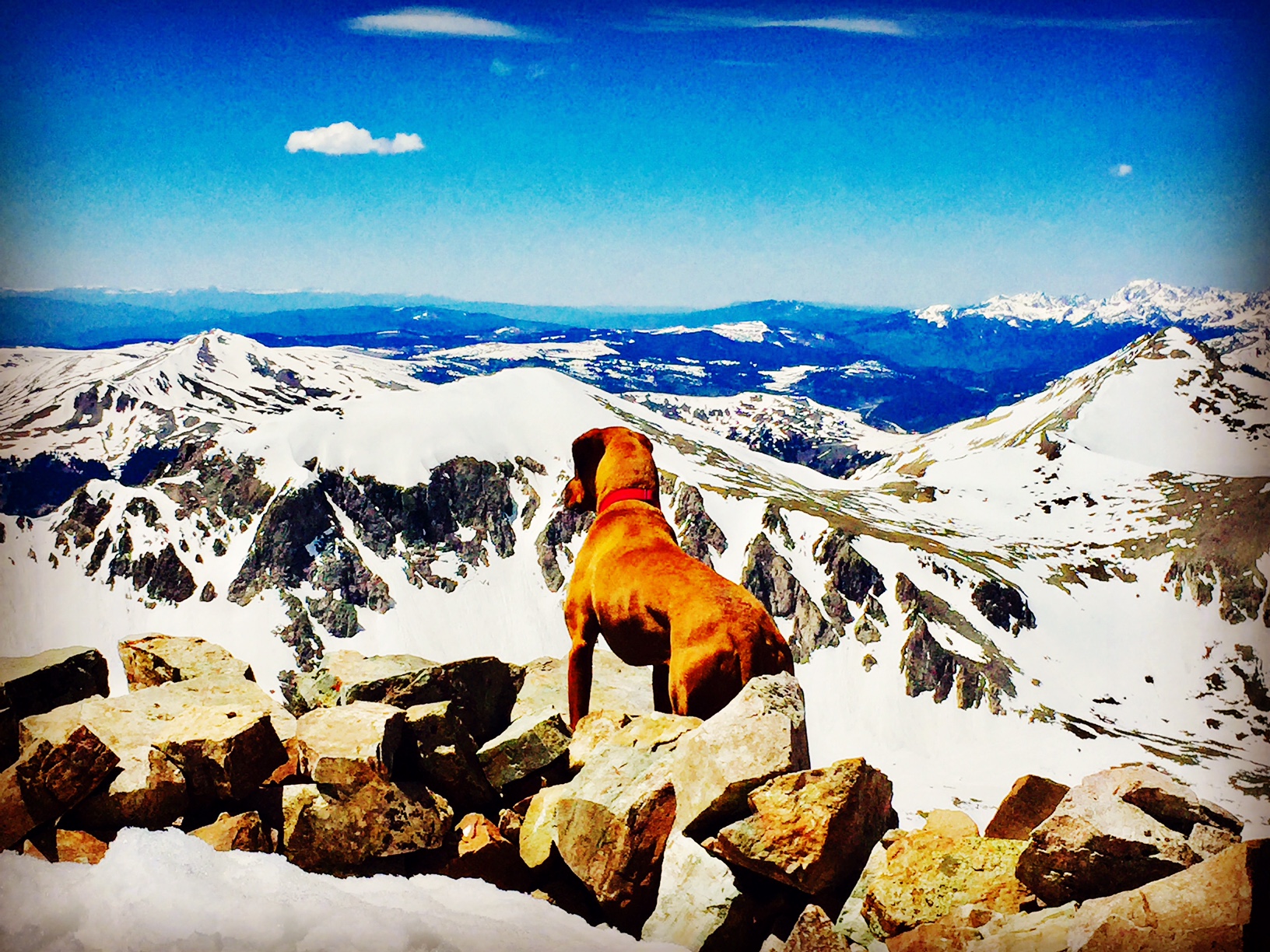 Views from the summit of Quandary Peak