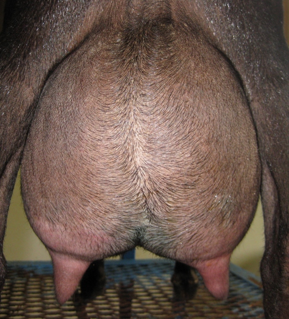 photos made 7/24/2016 prior to milk test