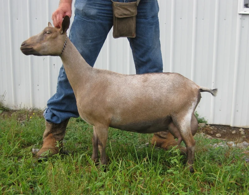 Photo made 7/24/2016