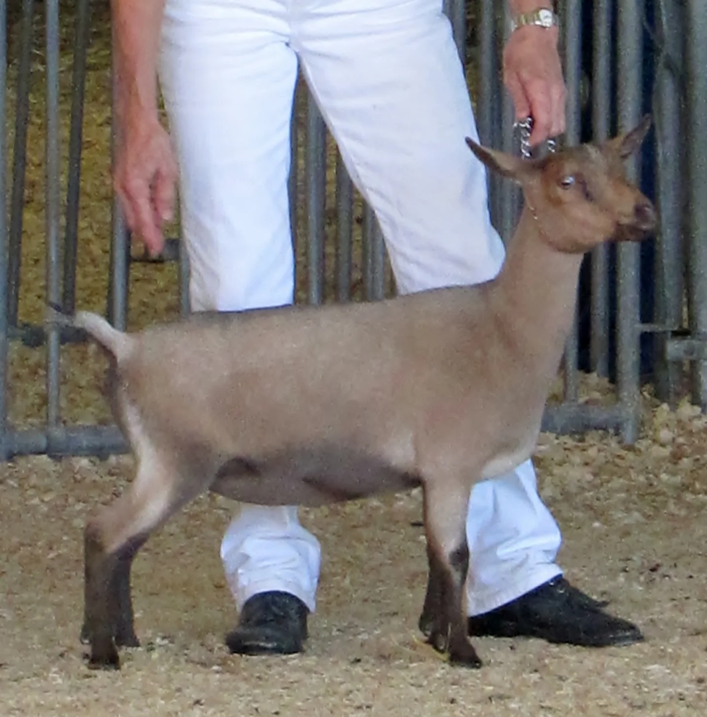 Junior photo October 2014