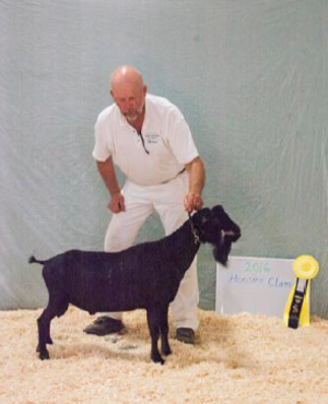 Constantino finished his Championship at the 2016 Hoosier Classic June 11, 2016.