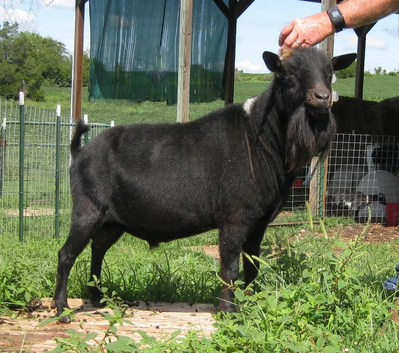 photo made 8/22/2016