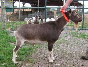 photo made 5/18/2015