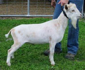 photo made 04/28/2015