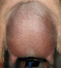 Udder photo made prior to Dahlia's first milk test April 4th. Grand Champion Junior Doe at the SC Classic 8/29/2015