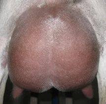 12 hour udder on 5/7/2016