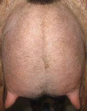 12 hour udder photo made 1/3/2017 (First Freshening)Kidded 11/12/2016 with a single doe kid