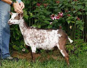 junior photo made 07/05/2016