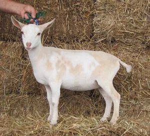 junior photo made 4/22/2014