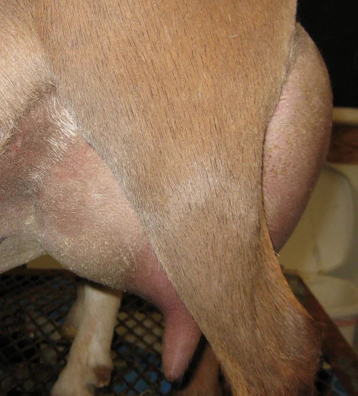 prior to 4/9/2017 milk test