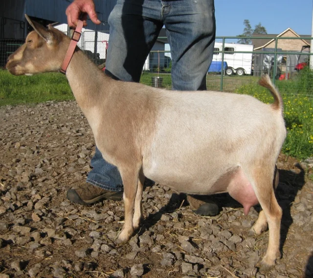 photo made 5/14/2017