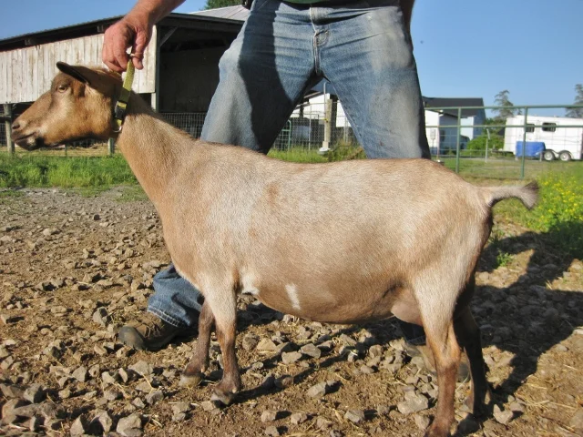 photo made 5/14/2017