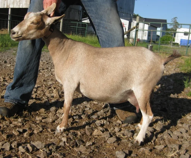 photo made 5/15/2017