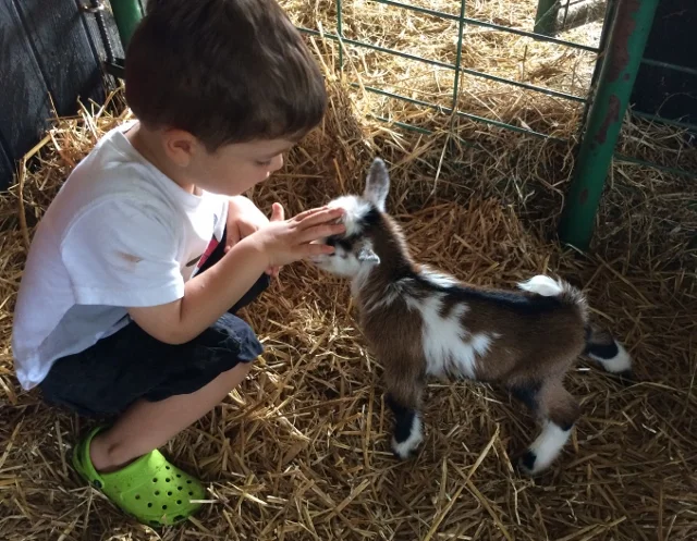 Cedar View Hudson *B - photo made 7/06/2017