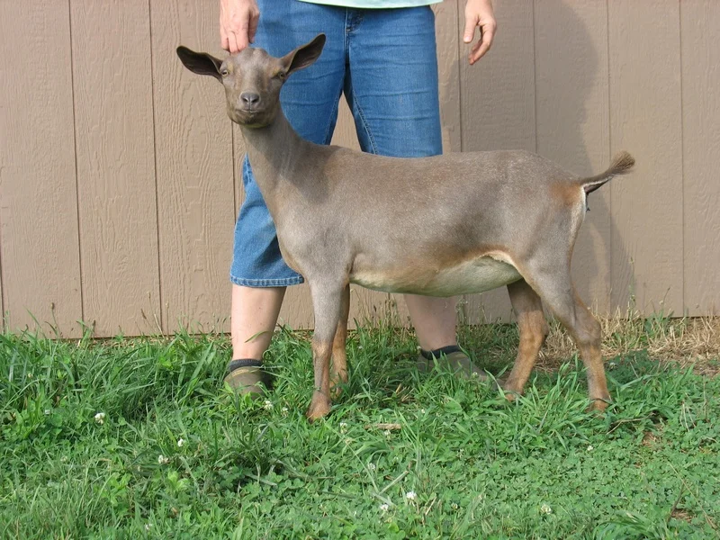 junior photo credit: Patti Treece