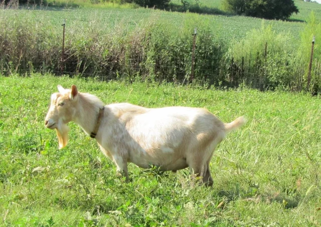 photo made 8/22/2017