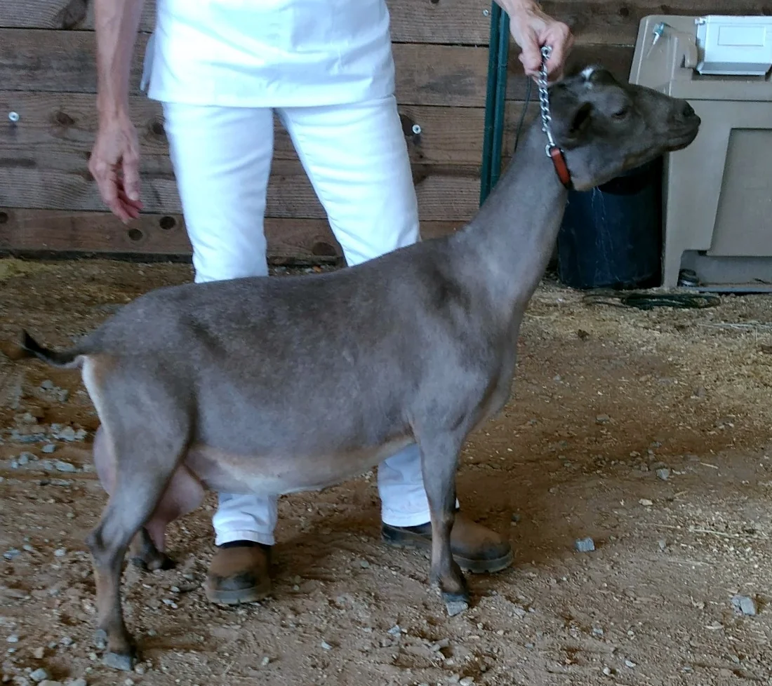 photo made 9/24/2017