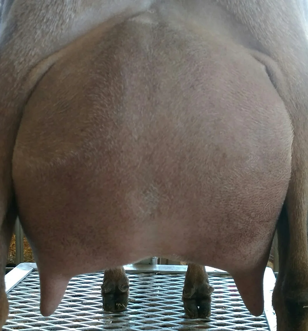 photo made 9/24/2017