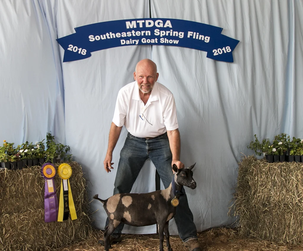 5/28/2018 Junior Grand and Best Junior Doe in Show at the Lebanon, TN Spring Fling on 5/27/2018