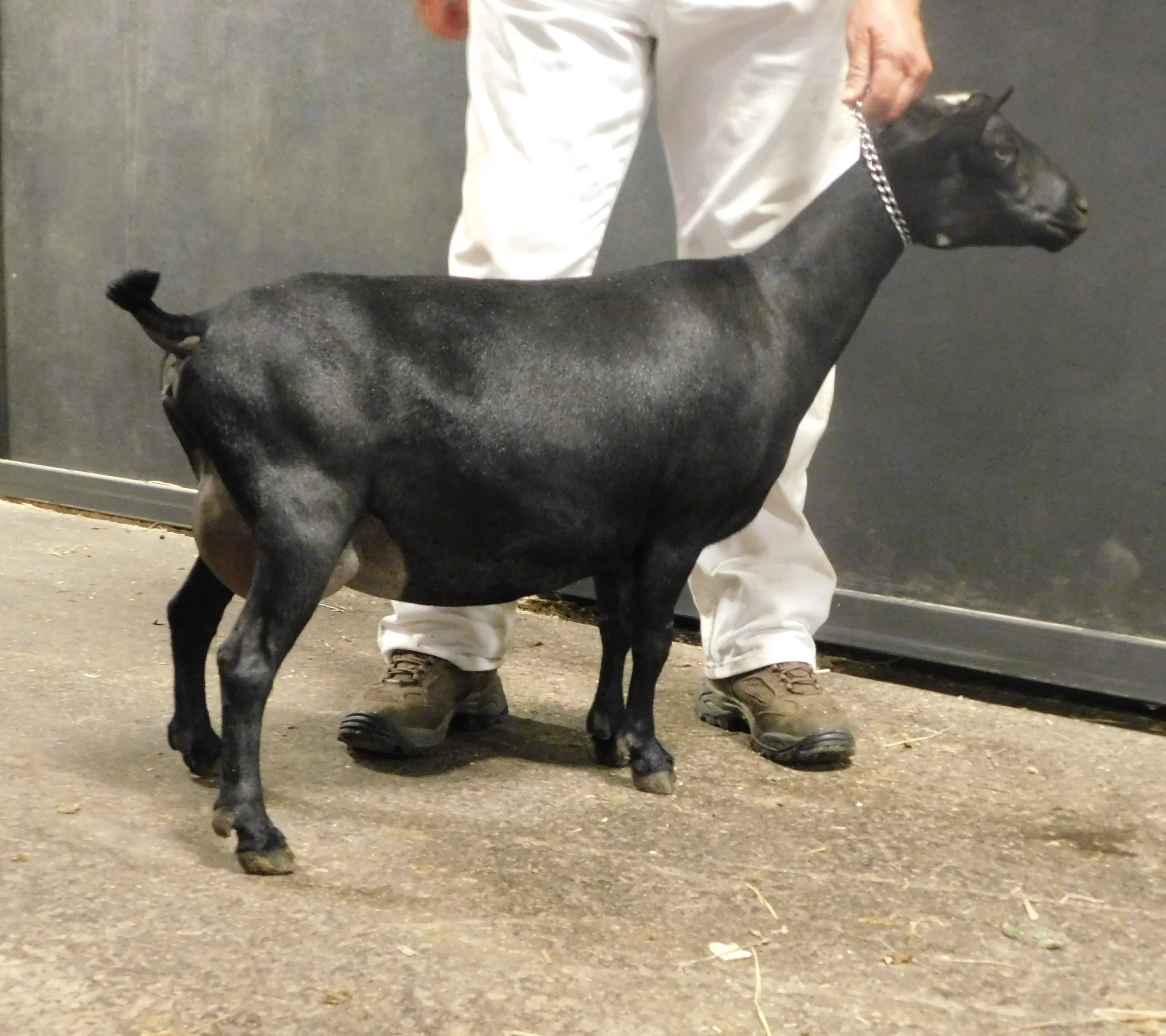 photo made 6/25/2018 Freshened Nov 24, 2017