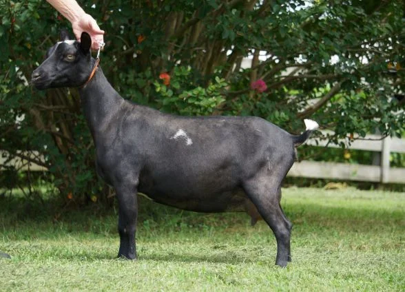 Unna August thumbnail.JPG