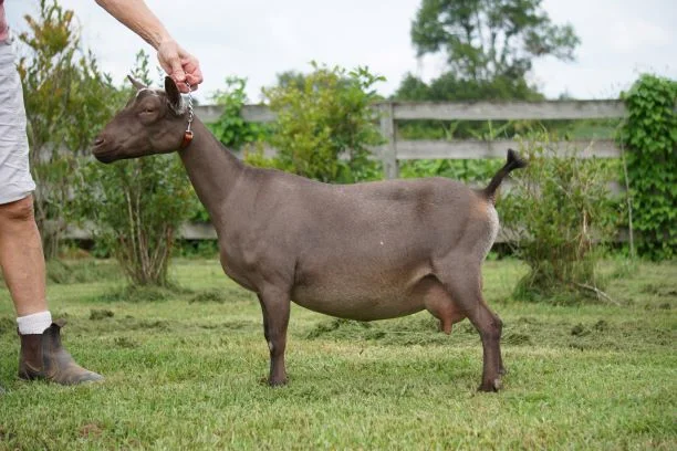 yadira thumbnail.JPG