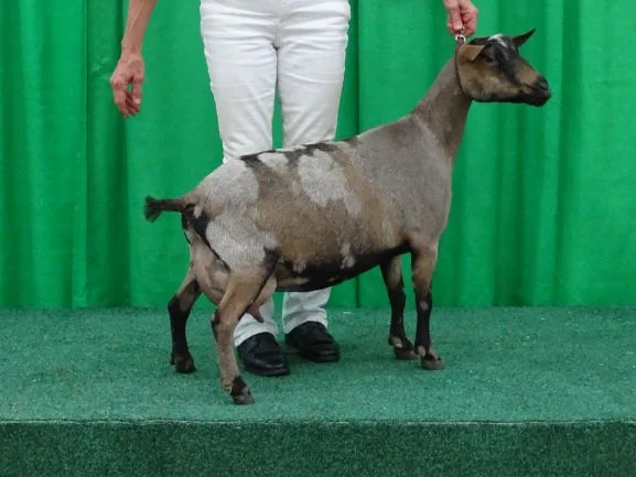 Olga at Naile for thumbnail.JPG