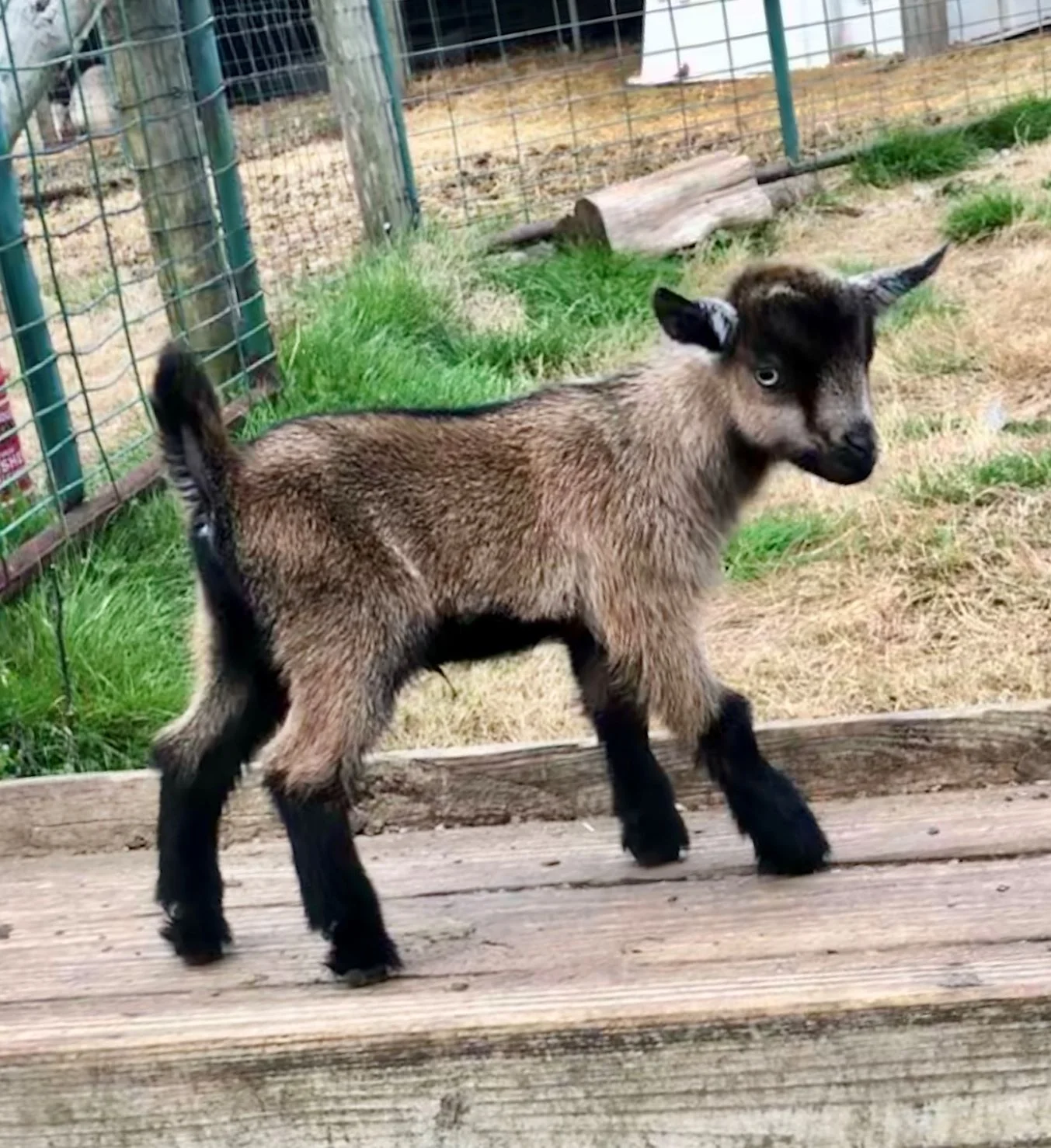 Nero on 3/3/2019
