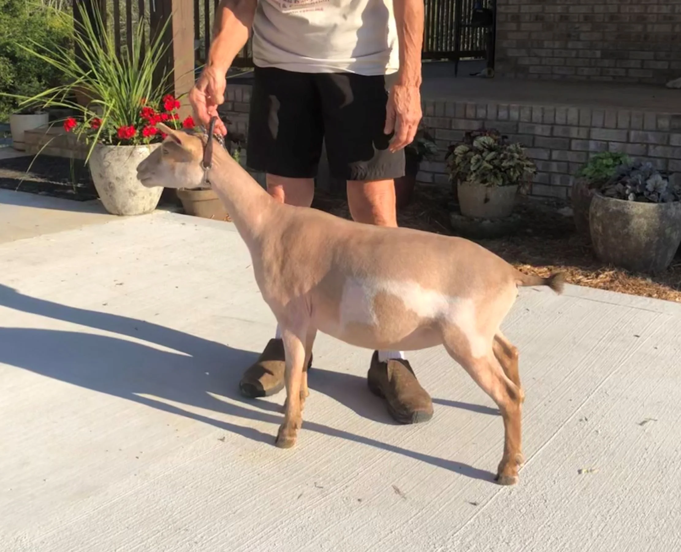 9/3/19