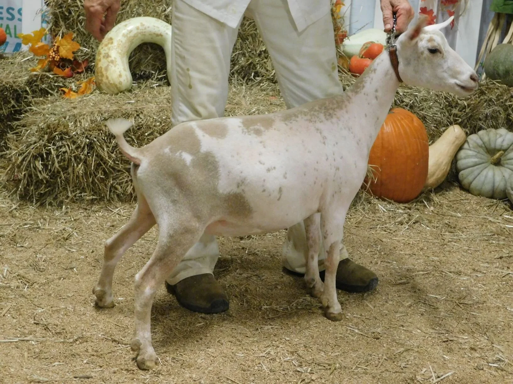 9/14/2019 - junior photo