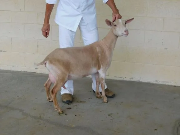 penelope 9 14 19 thumbnail.JPG