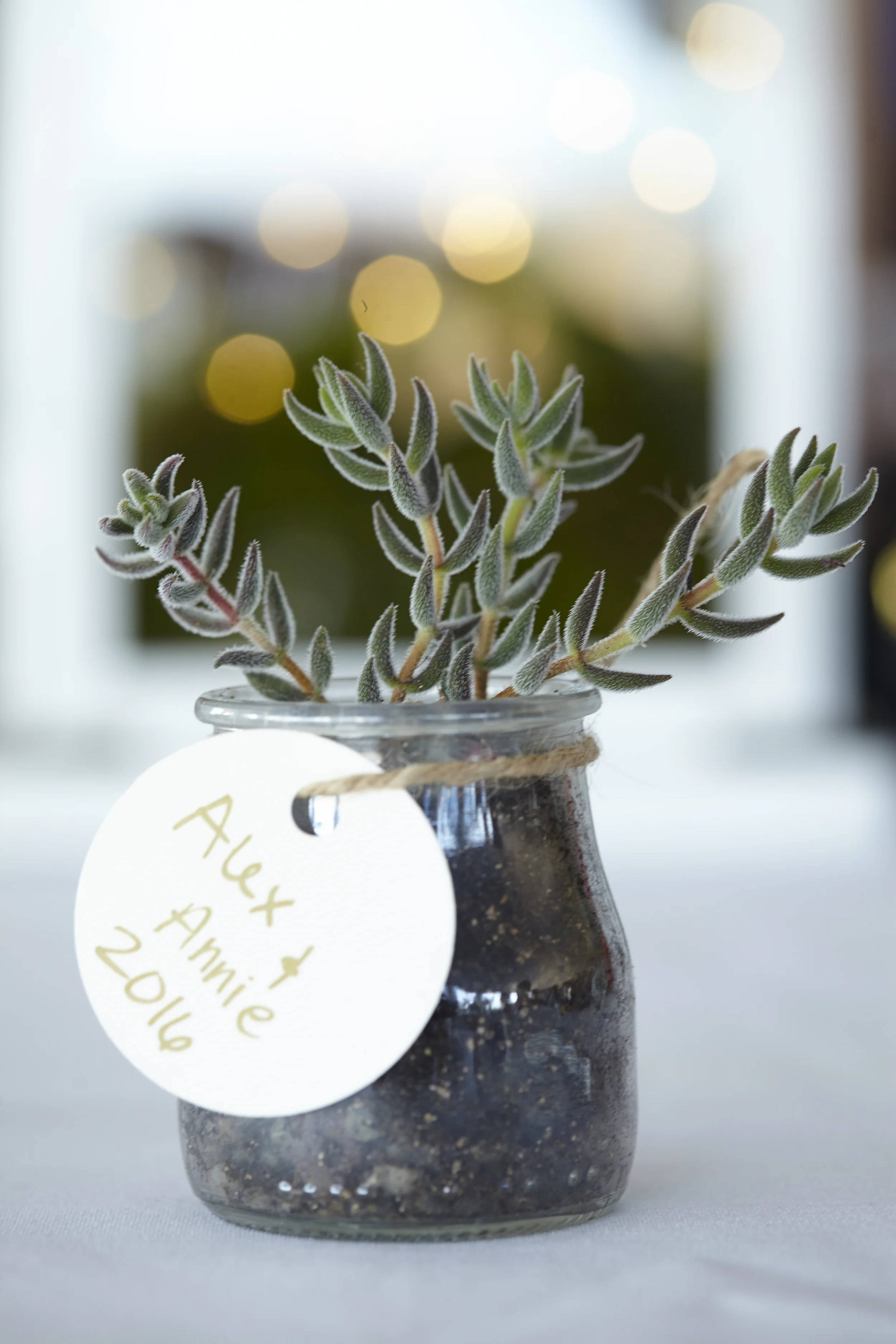 Succulent Table Decorations