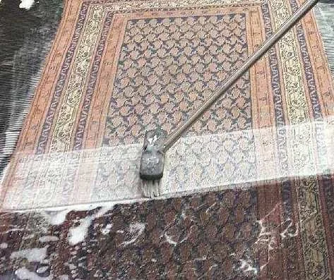 HAND WASH CROPPED.jpg