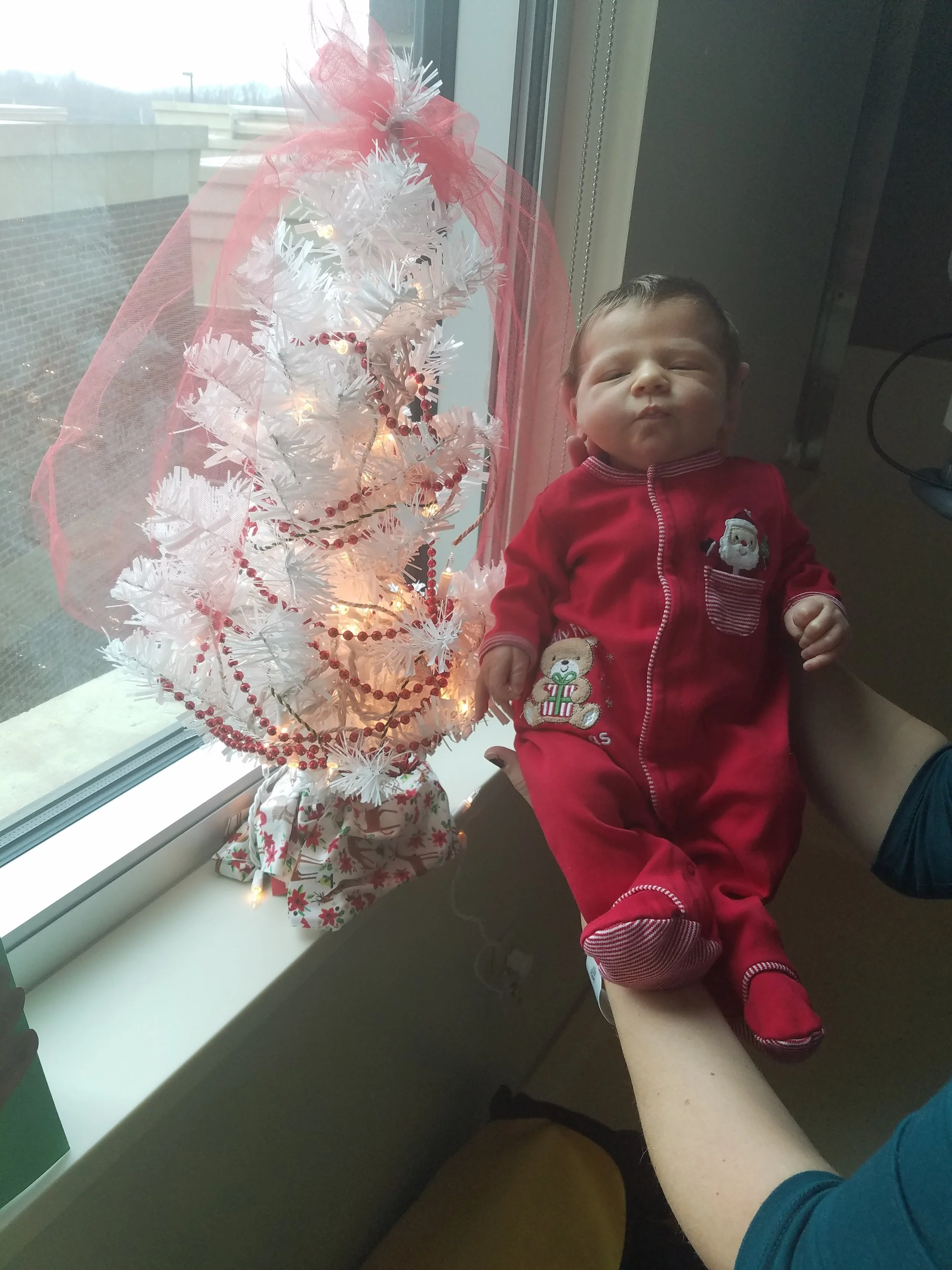 20171222_122938.JPG