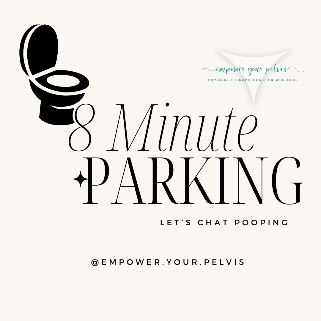 pelvic floor — Blog — Empower Your Pelvis