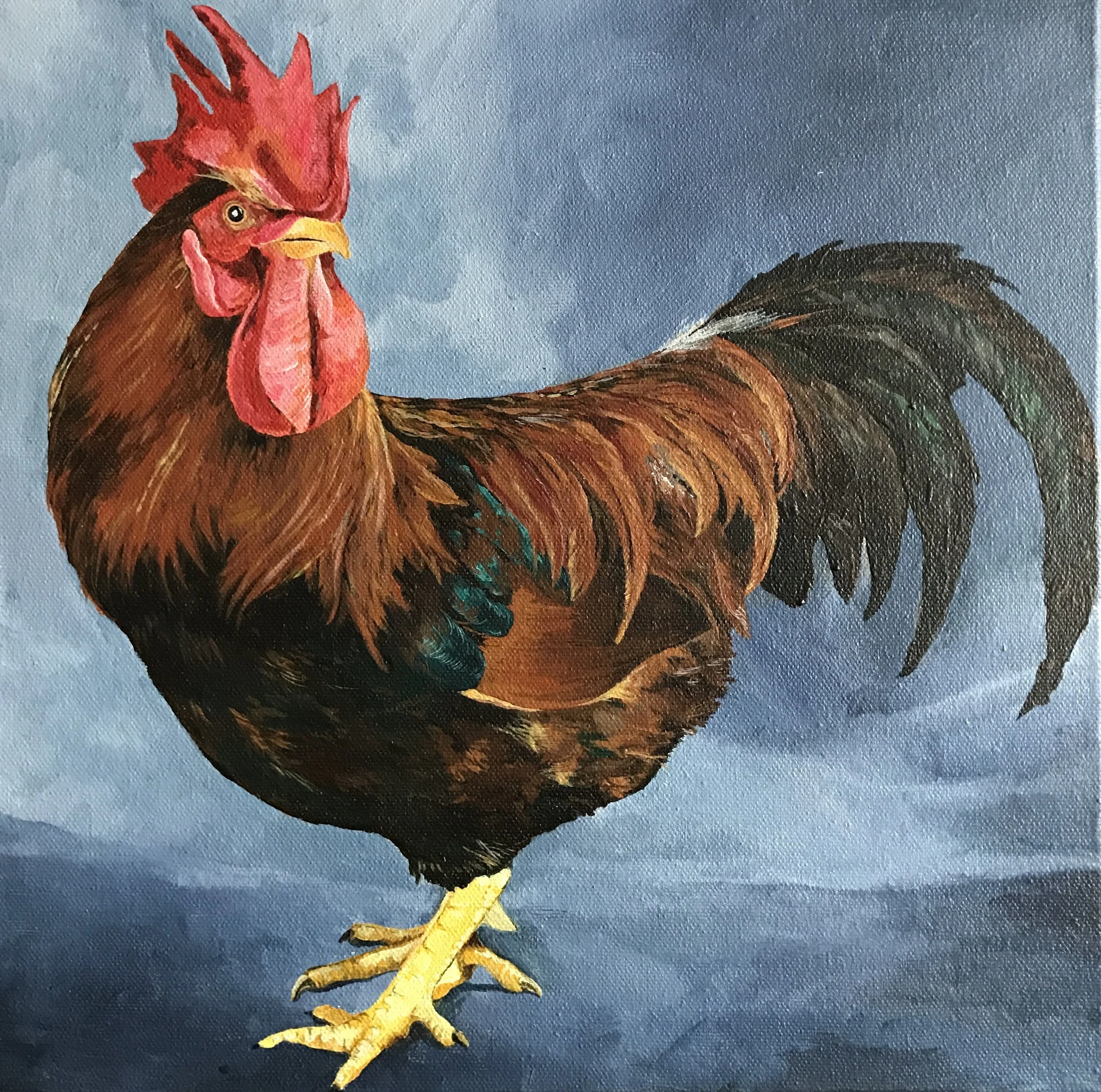 Welsummer cockerel Print