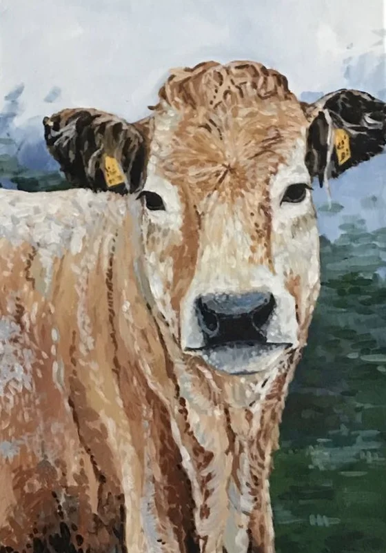 Aubrac Cow print