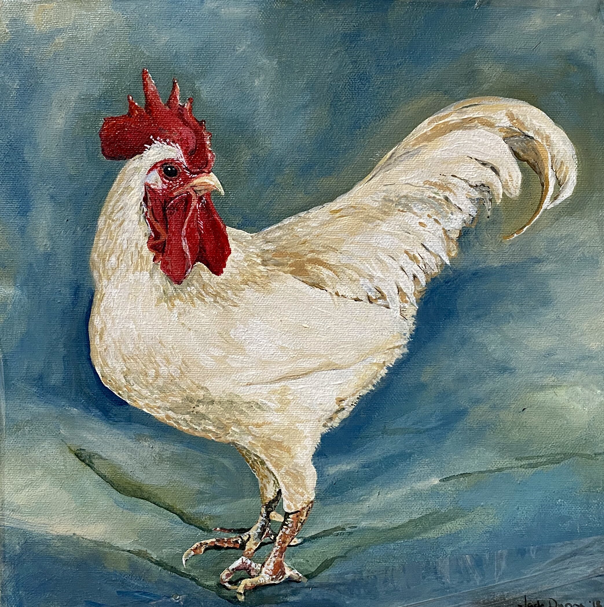 Australorp Cockerel Print