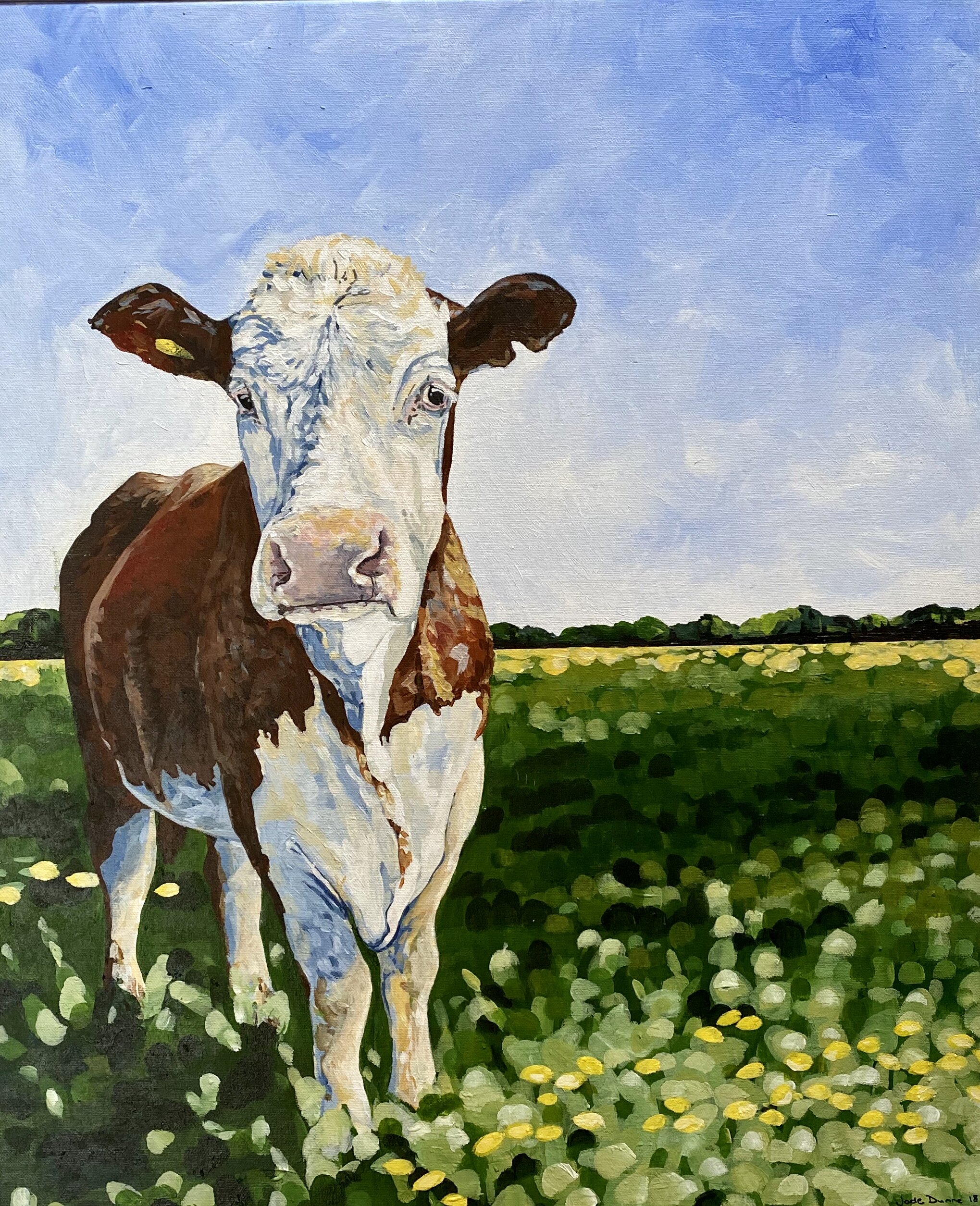 Hereford Cow, framed print